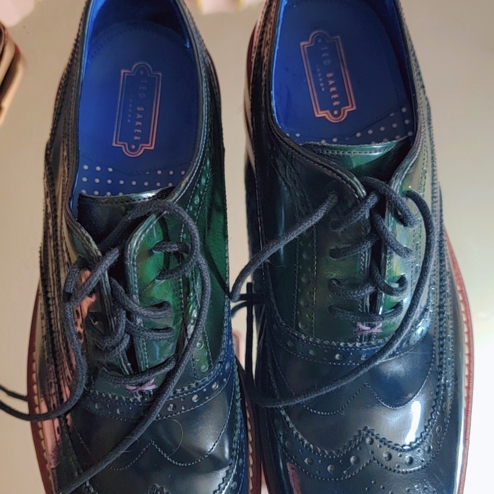 Ted Baker Men's Green and Blue Brogues New With No Box.